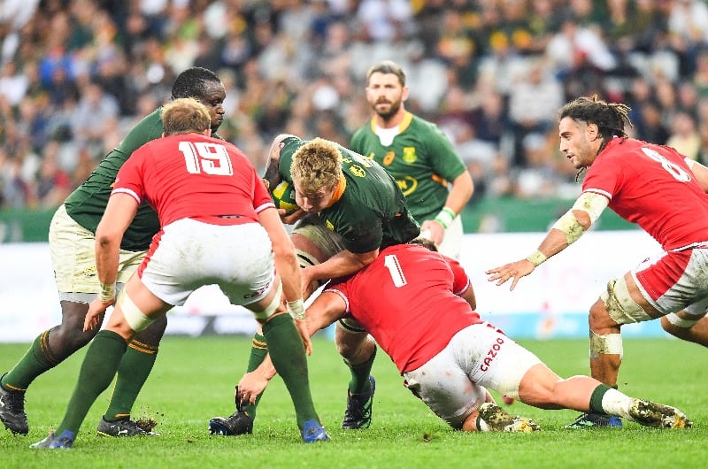 Wales vs South Africa Predictions & Tips Springboks tipped for narrow win