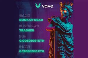 Vave Casino Book Of Dead Big Win