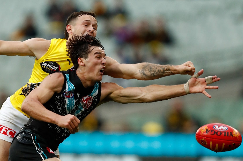 Port Adelaide Power Vs Richmond Tigers Tips Teams And Odds Afl Hot Sex Picture