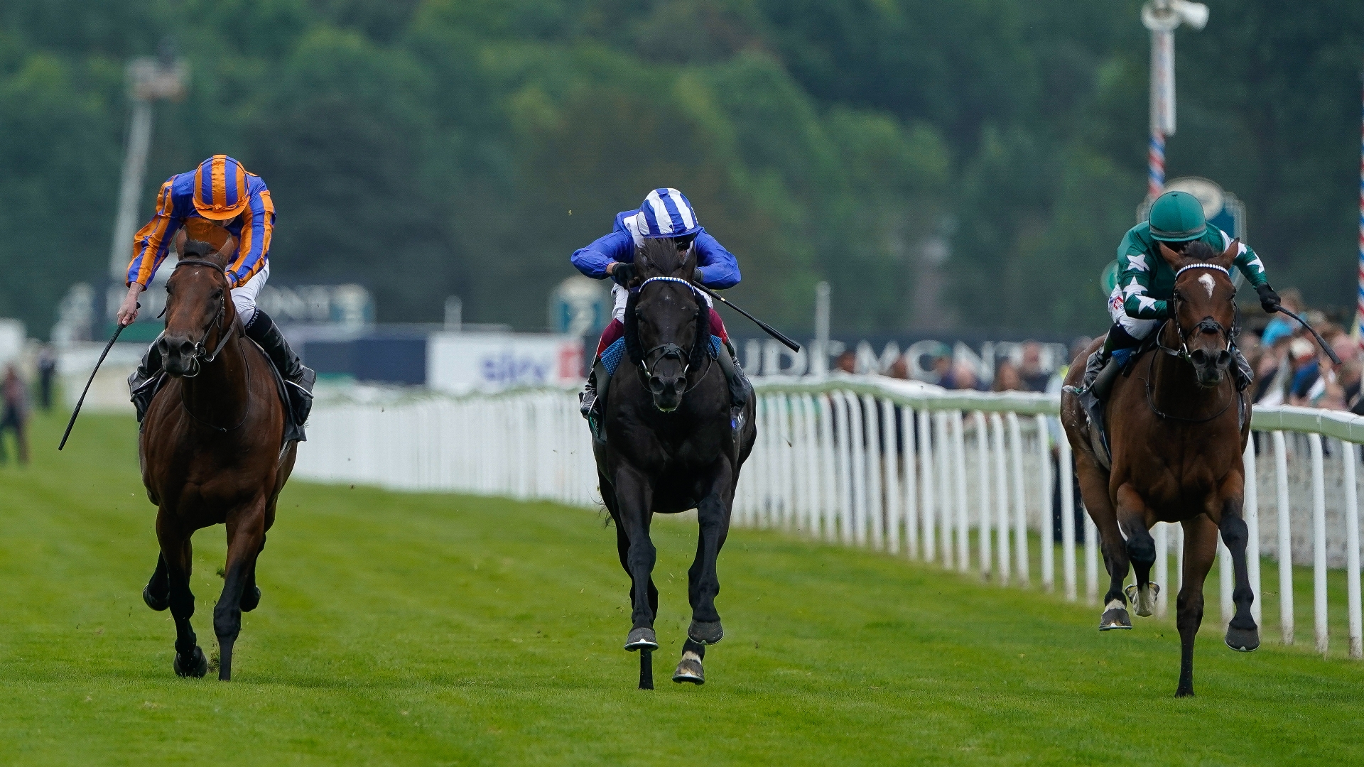 2024 Juddmonte International Stakes News Dates and vital information.