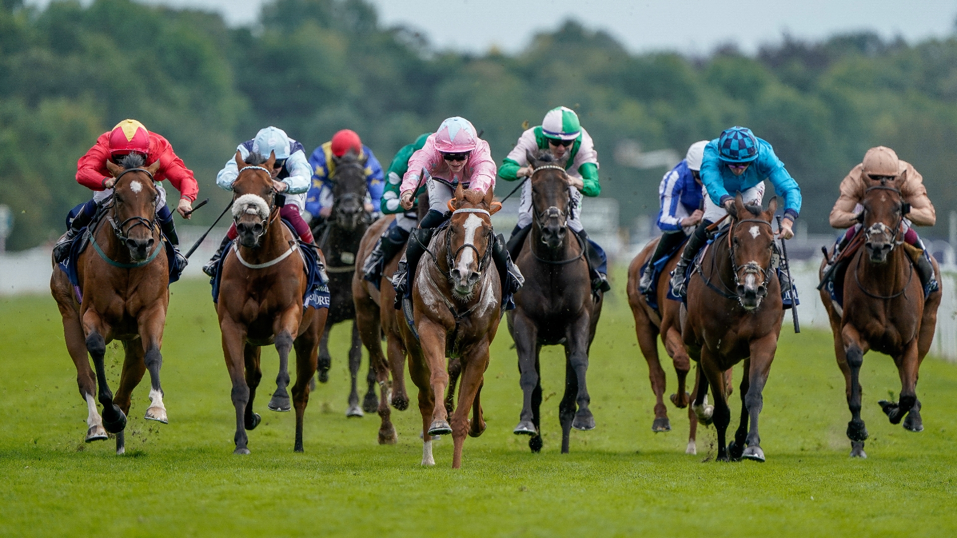 2024 Nunthorpe Stakes News | Dates and vital information.