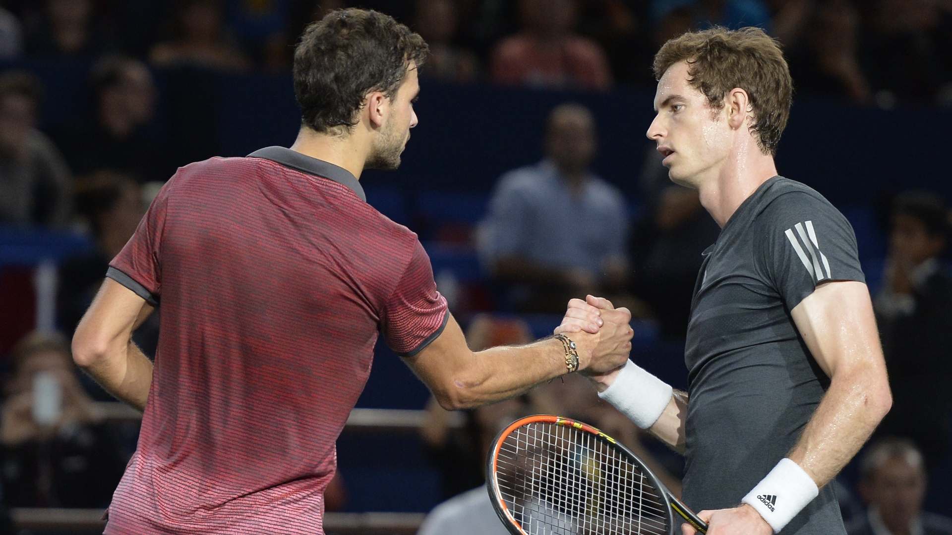 Andy Murray vs Grigor Dimitrov Live Stream & Tips - Murray to Win at ...