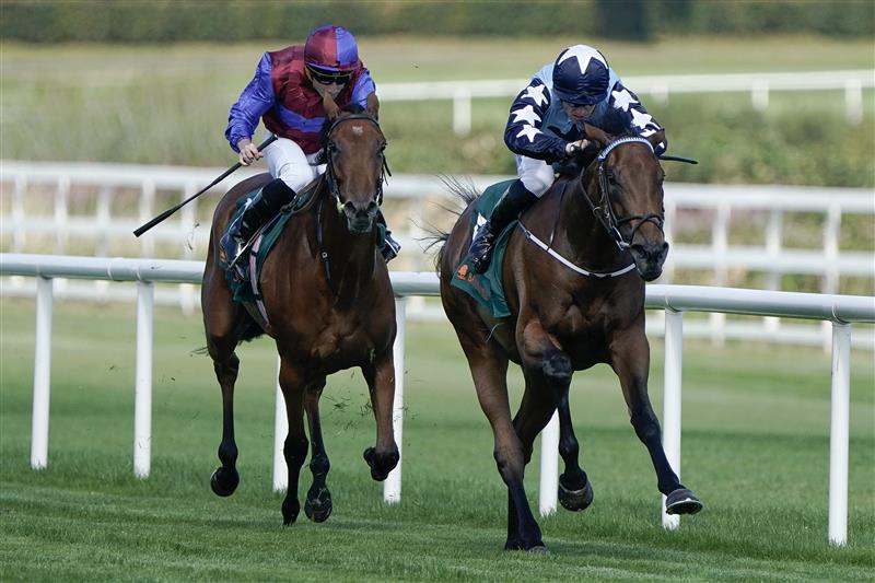 Racing Photos | Irish Champions Stakes day at Leopardstown [Pictures ...