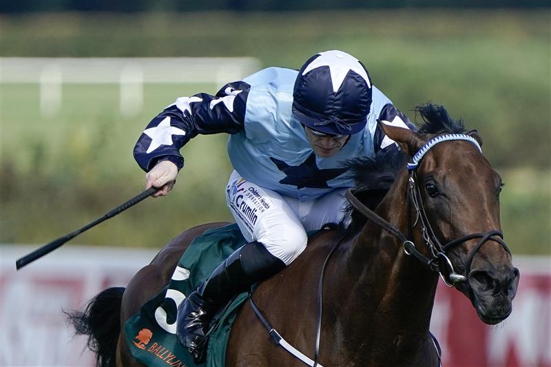 Racing Photos | Irish Champions Stakes Day At Leopardstown [Pictures ...