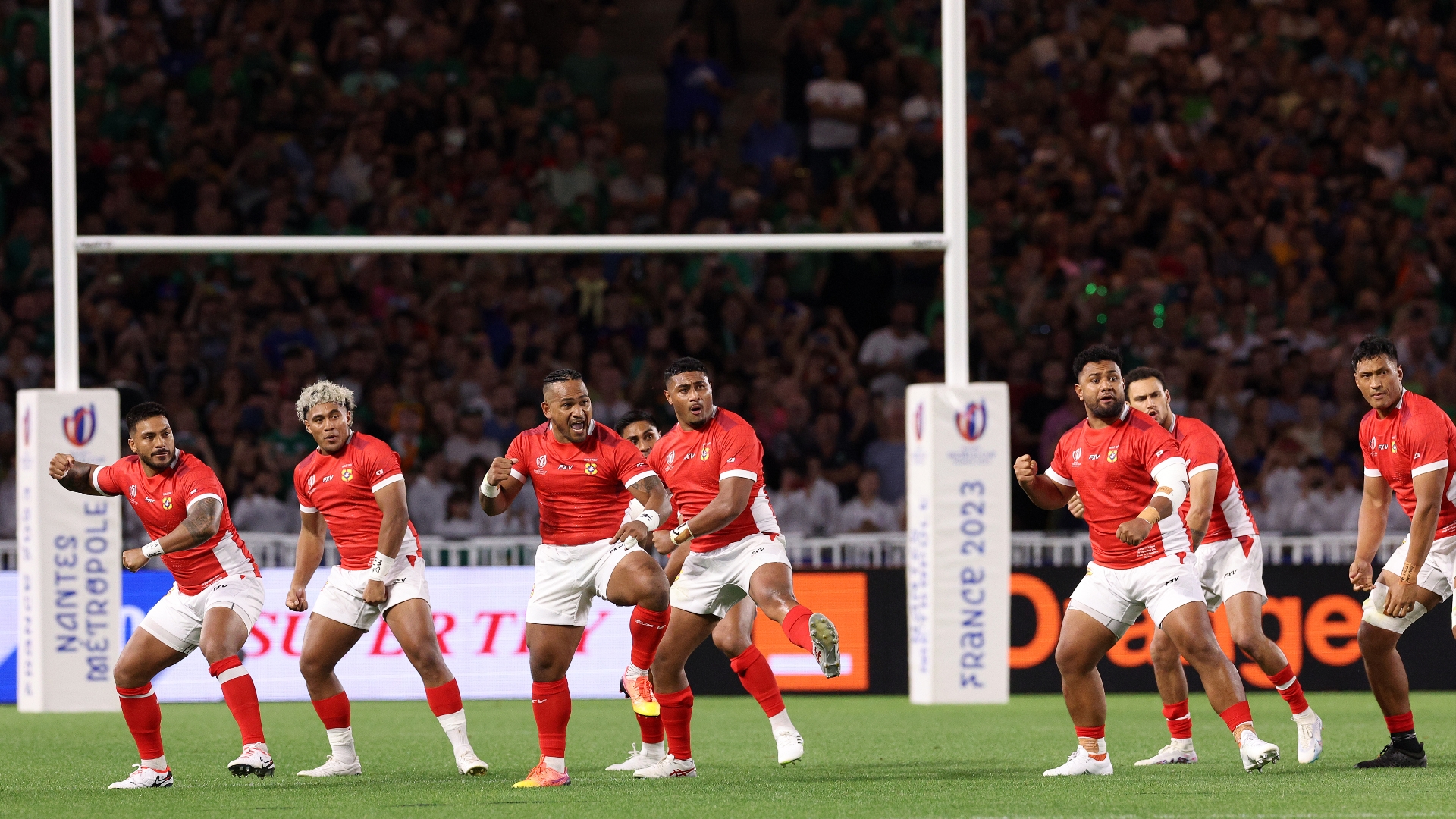 Scotland vs Tonga Live Stream & Tips Tonga backed in handicap market