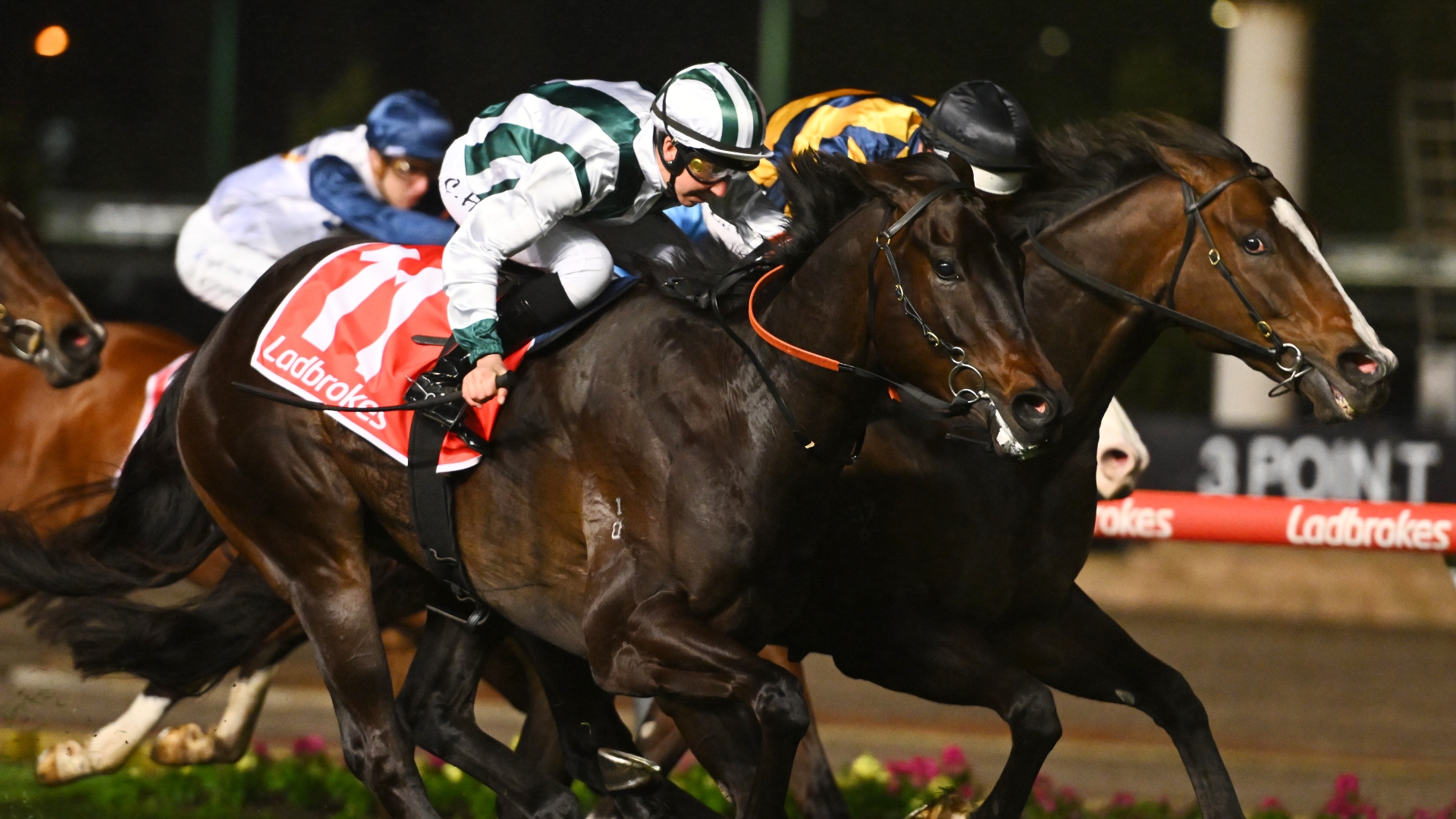 The Valley Tips - Best & Value Bets for Moir Stakes Night on September 29