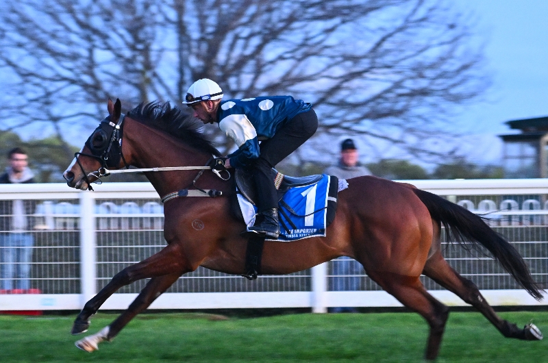 2023 Caulfield Cup Latest Betting Odds - Soulcombe The One To Beat In ...