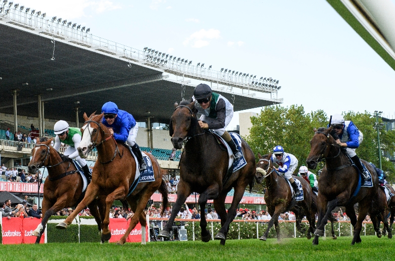 Cox Plate 2023 Barrier Draw & Final Field