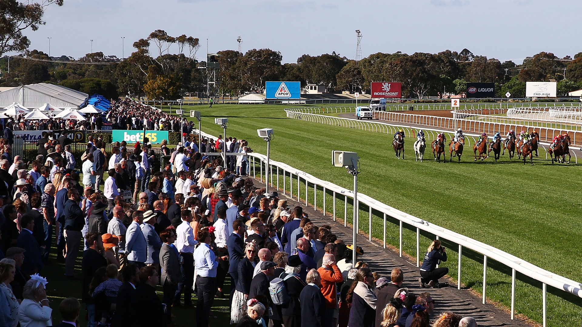 Geelong Betting Tips for October 25, 2023 - Best Bets for Geelong Cup day