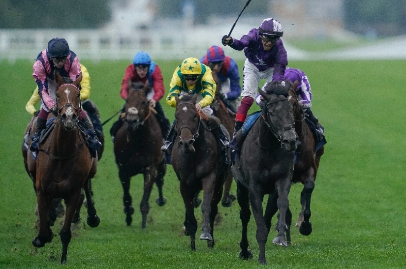 2024 British Champions Day News Dates and vital information