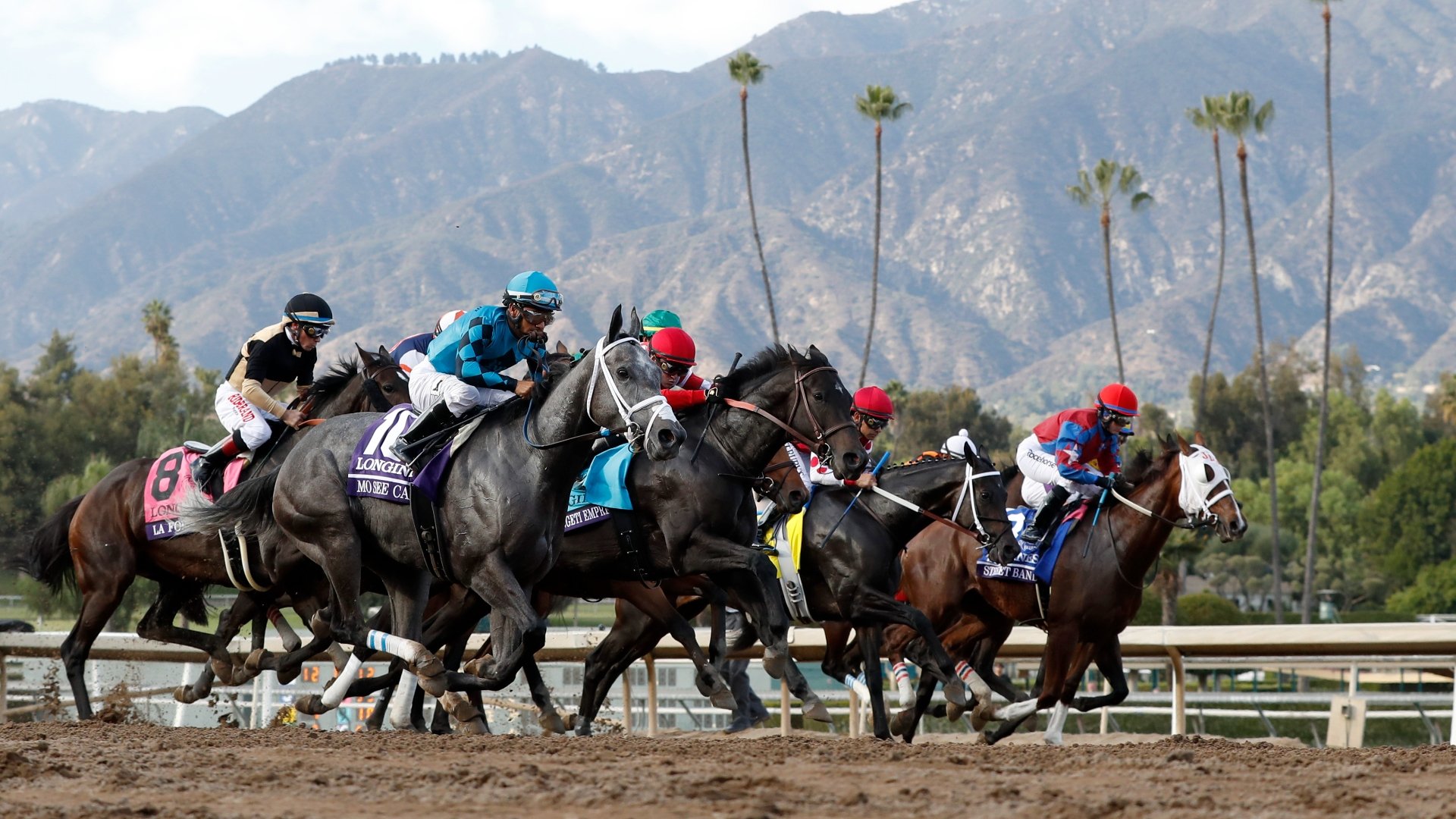 Breeders' Cup 2023 Tips Peter Fornatale's Day 1 Selections