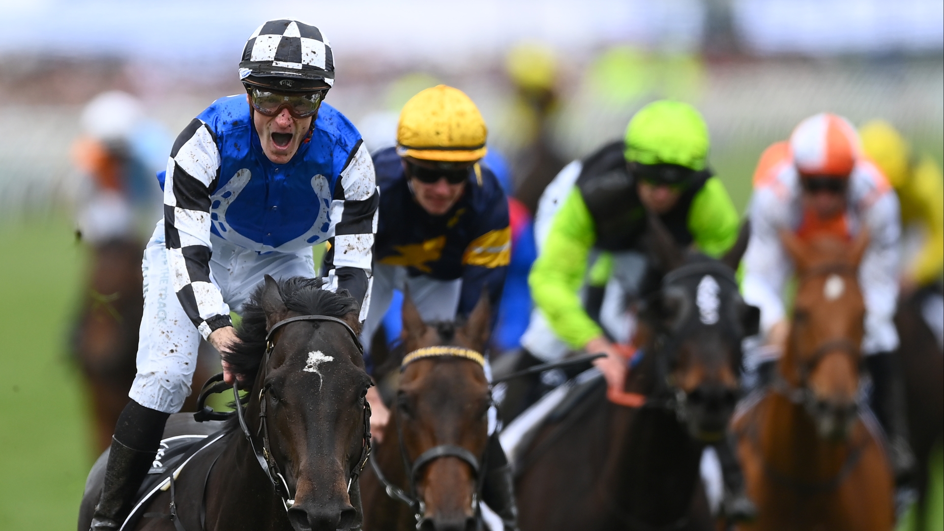 Melbourne Cup Tips & Preview Who will win the Race That Stops A Nation?