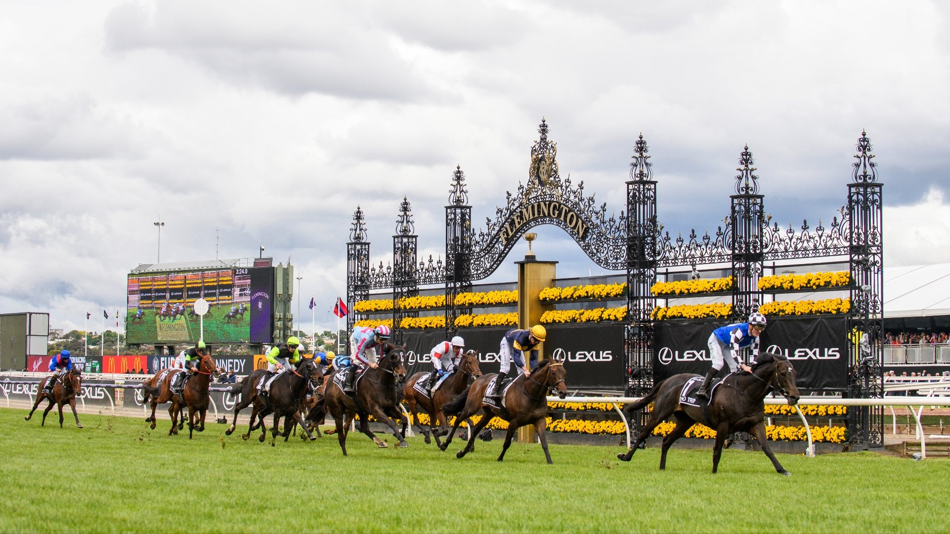 2024 Melbourne Cup Live Stream Watch the race live from Flemington