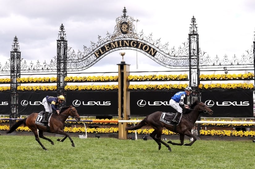 Latest Melbourne Cup Tips Top three selections to win the Race That