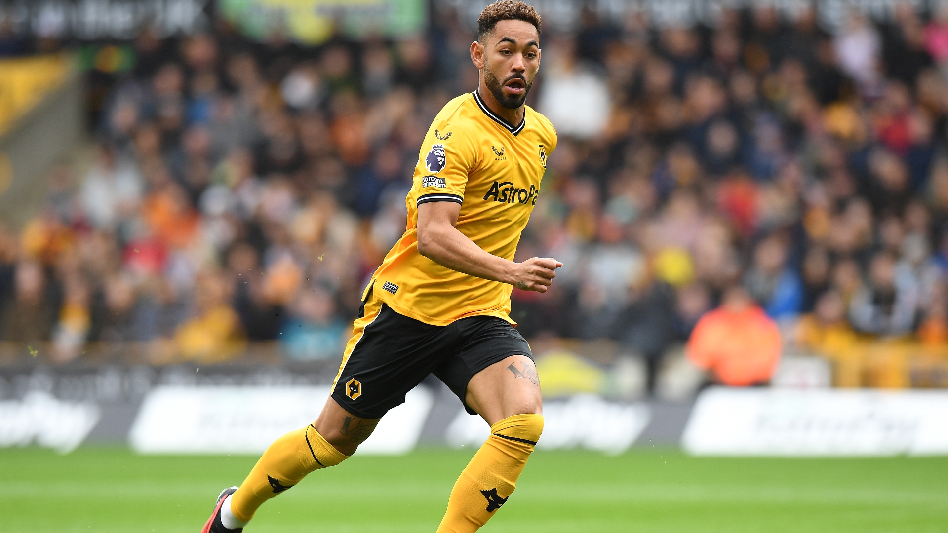 Wolves vs Tottenham Predictions & Tips Wolves to Hold Injury Struck