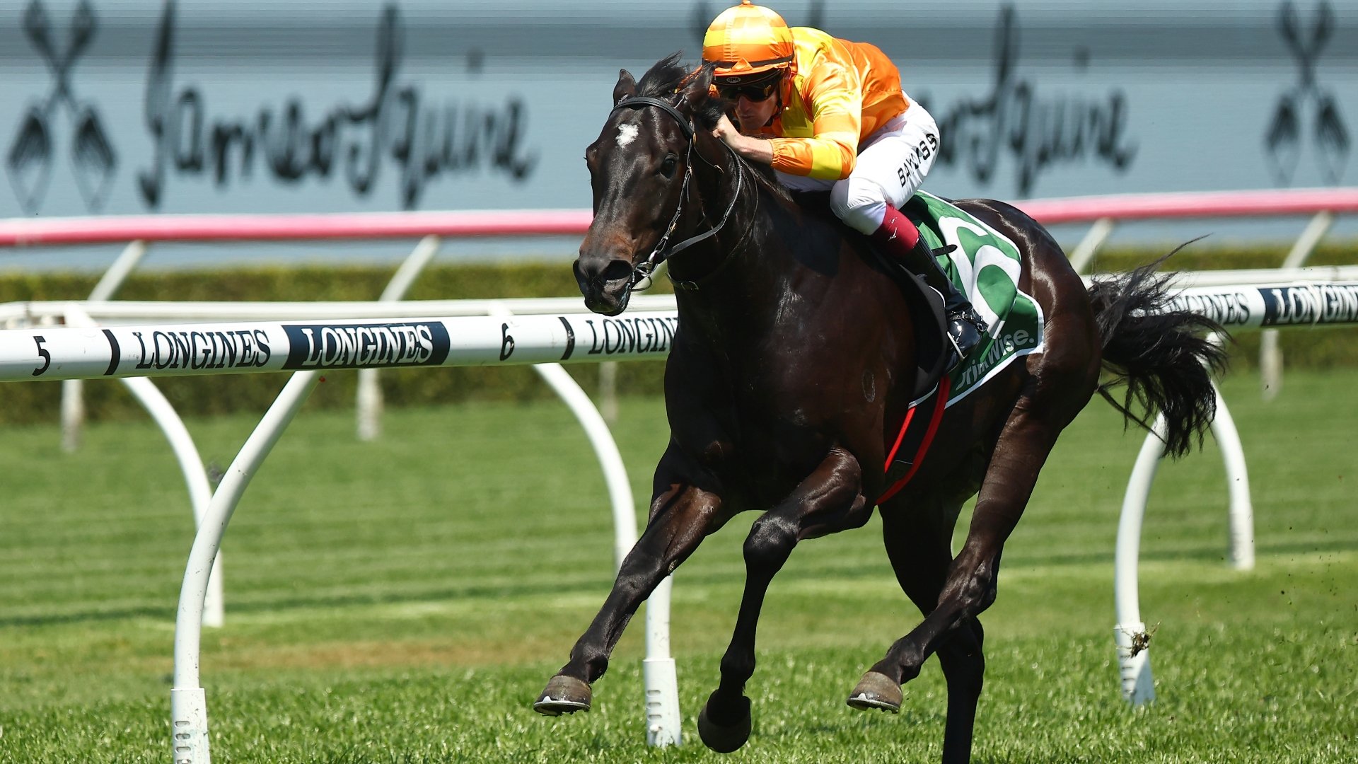 Golden Slipper 2024 Betting Odds Waterhouse & Bott dominate the