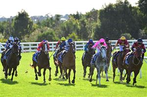 Mornington Racecourse Double Membership