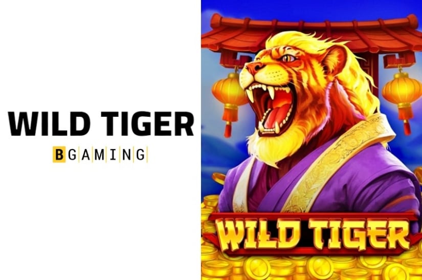 Linebet Casino New Slot: Wild Tiger by BGaming - Win Up To 3,000 Times ...