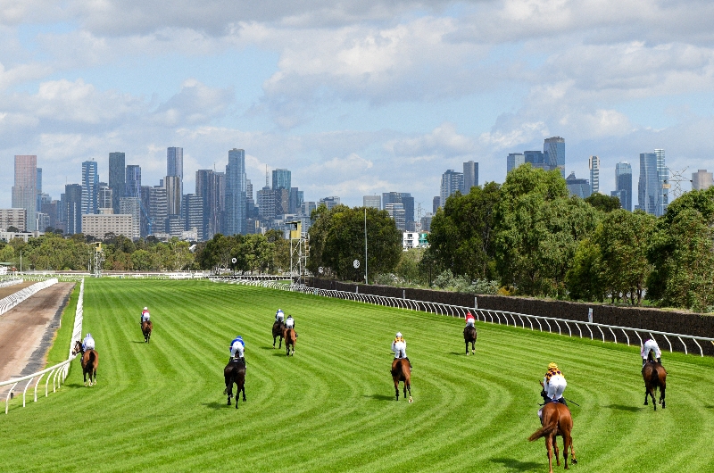 Flemington Betting Tips for January 13, 2024 RaceByRace preview for