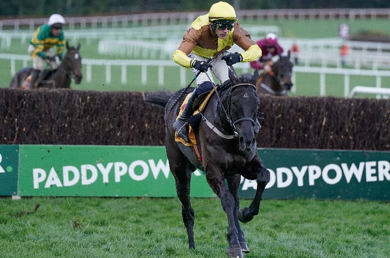 2024 Irish Gold Cup Odds Galopin Des Champs oddson to regain crown