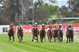 Cranbourne Betting Tips For January 16 2024 Rose To Bloom   TNCR Cranbourne Tips For 16.01.2024 15017166 