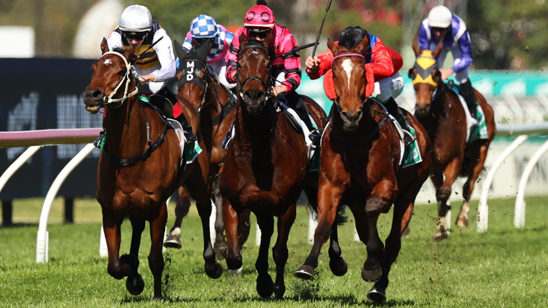 Ballina Betting Tips for January 19, 2024 Best Bets for Ballina Cup day