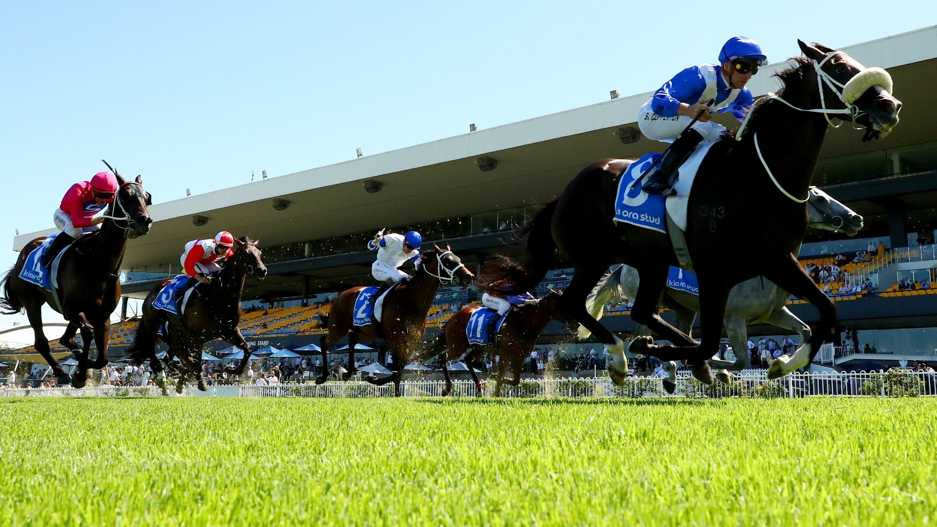 Rosehill Betting Tips For January 20 2024 Race By Race Preview For   Large Rosehill Tips For 20.01.2024 18013201 