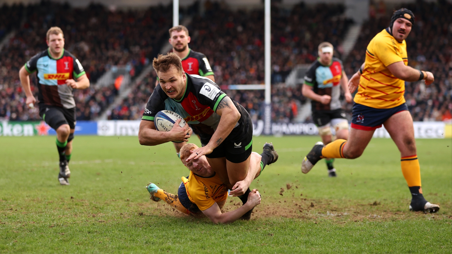 Harlequins vs Leicester Predictions & Tips Harlequins backed to cover