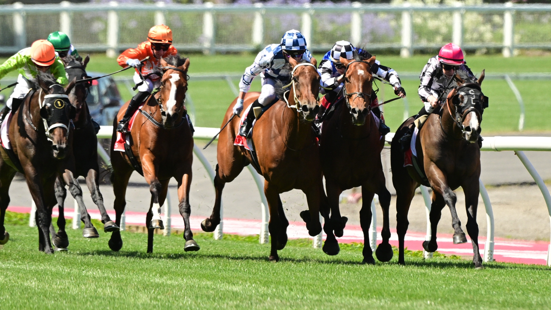 Moonee Valley Betting Tips for January 27, 2024 RaceByRace preview