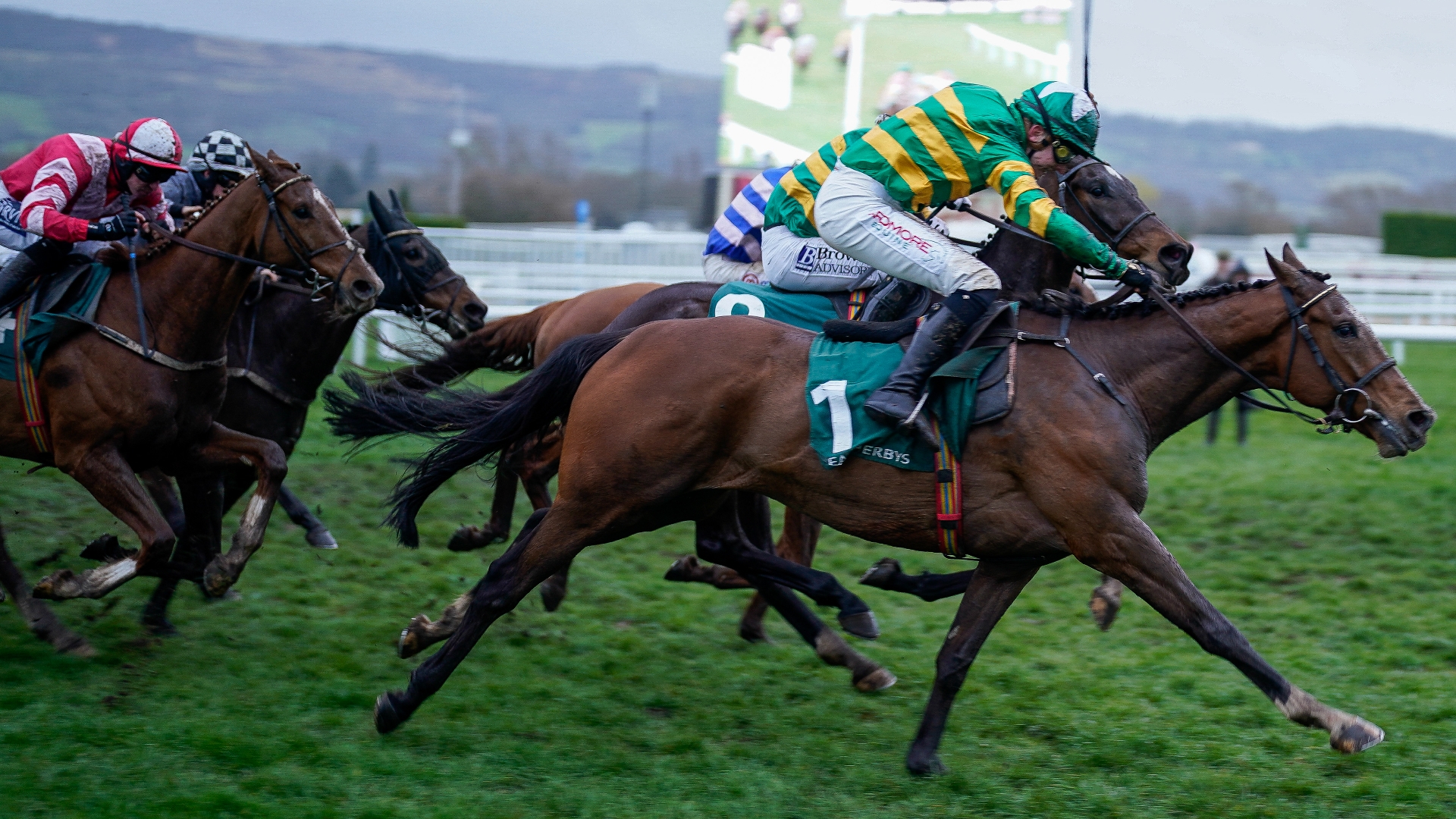 2024 Champion Bumper Odds Jalon D'Oudairies heads Maughreen in bumper