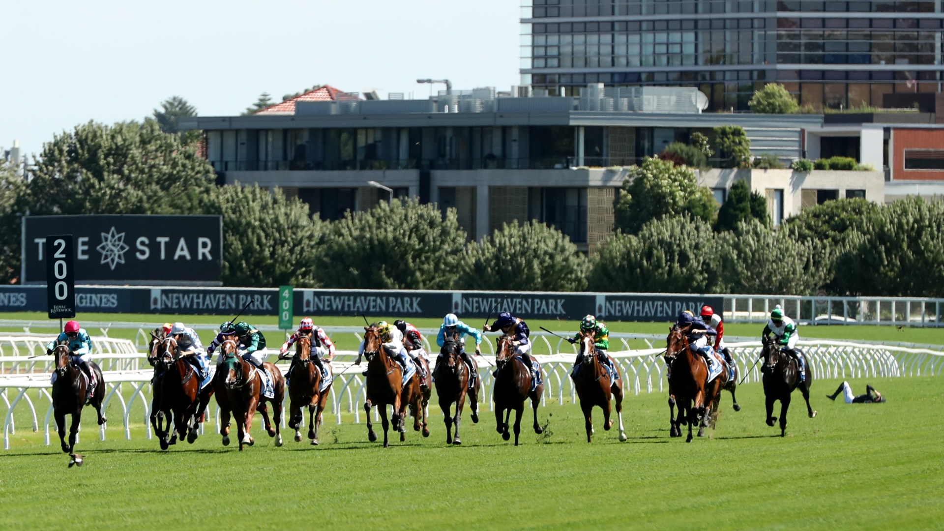 Randwick Horse Racing 2025 February