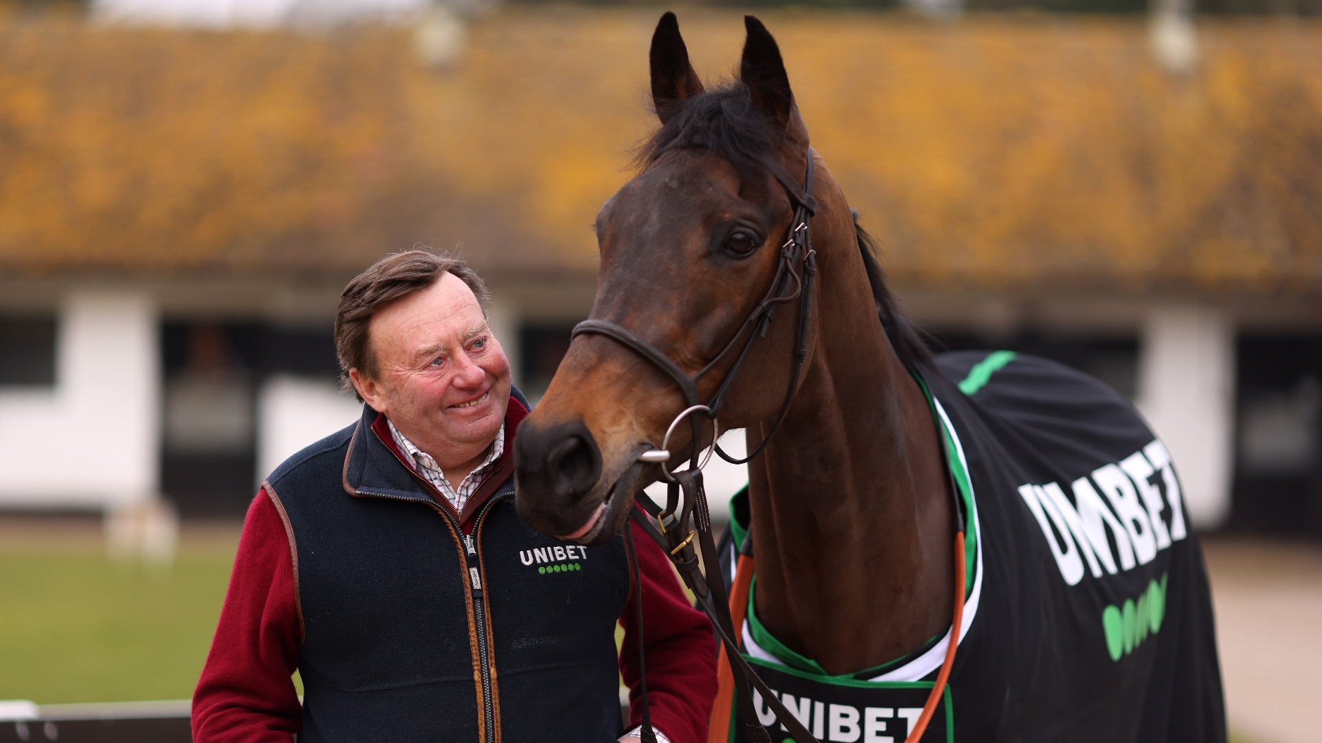 nicky henderson stable tour tickets