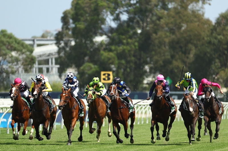 Rosehill Betting Tips For February 24 2024 Race By Race Preview For   CR Rosehill Tips For 24.02.2024 22025804 