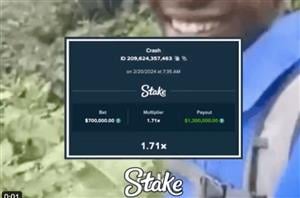 $1.2M Stake Crash Win