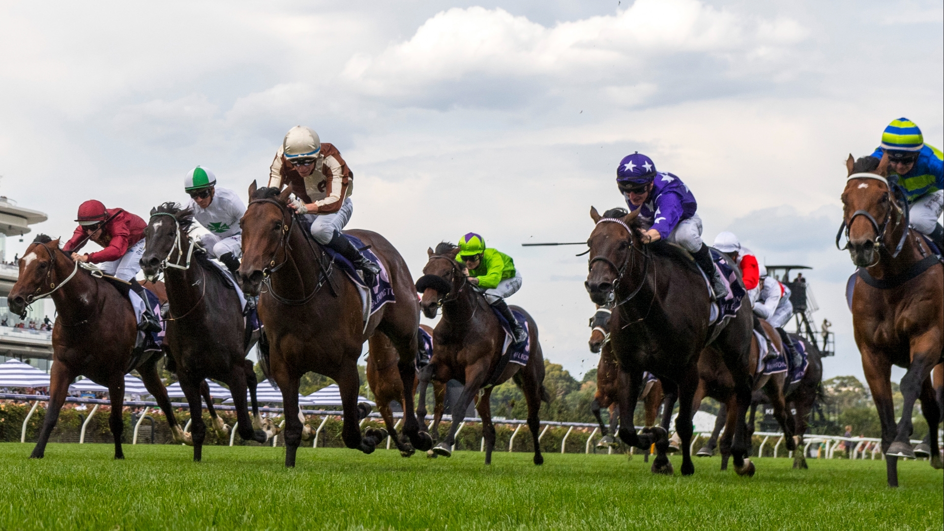 Flemington Betting Tips for March 2, 2024 RaceByRace preview for Australian Guineas day