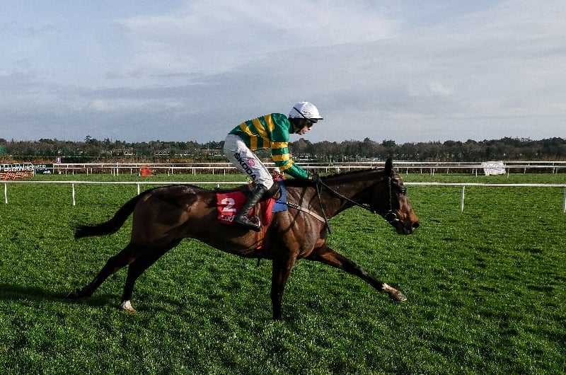 2024 Brown Advisory Novices' Chase Tips Keep the favourite onside