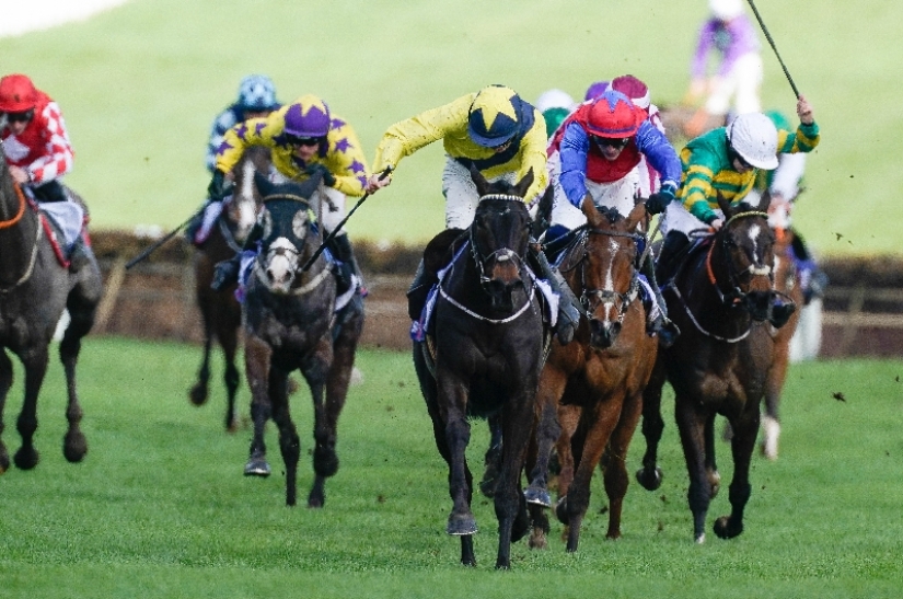 2024 Supreme Novices' Hurdle Live Stream Watch the Cheltenham race online