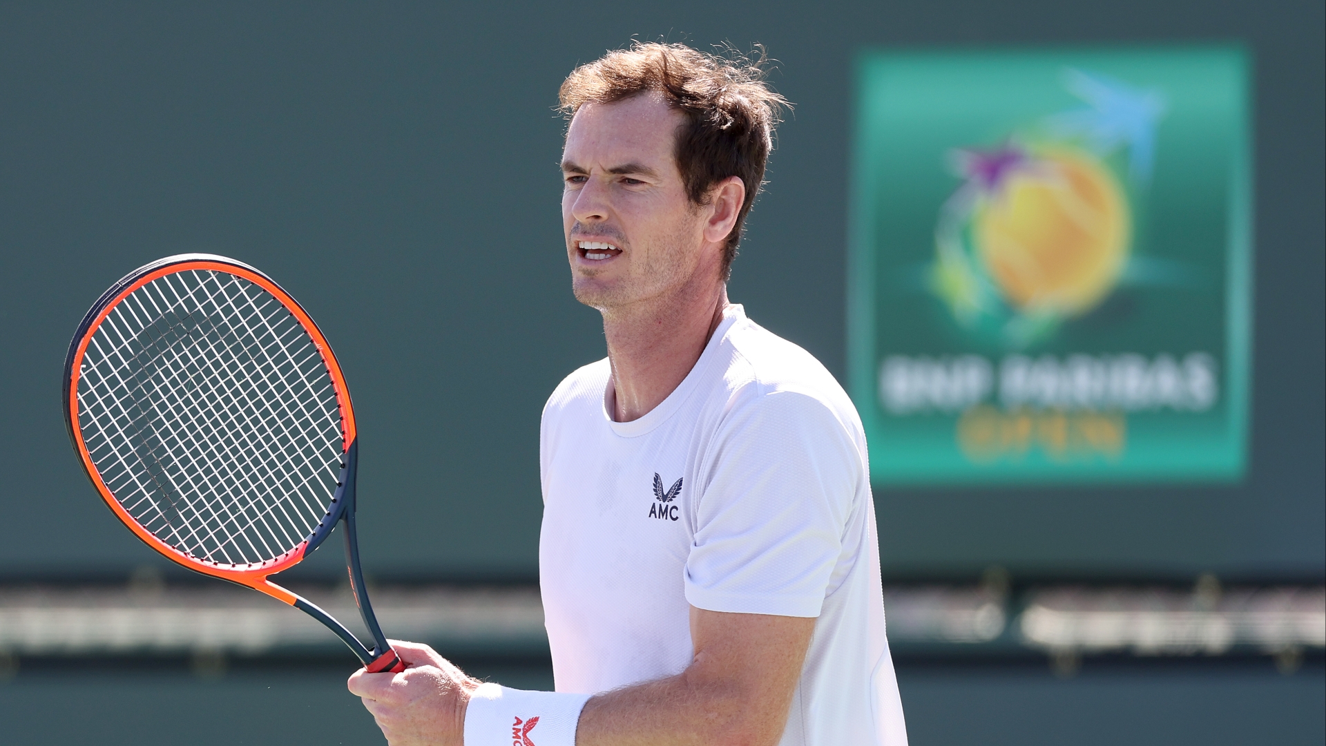 Andy Murray vs David Goffin Live Stream & Tips - Murray backed to win ...