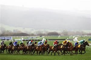 2024 Hunter Chase Tips Best bets for the amateur's Gold Cup