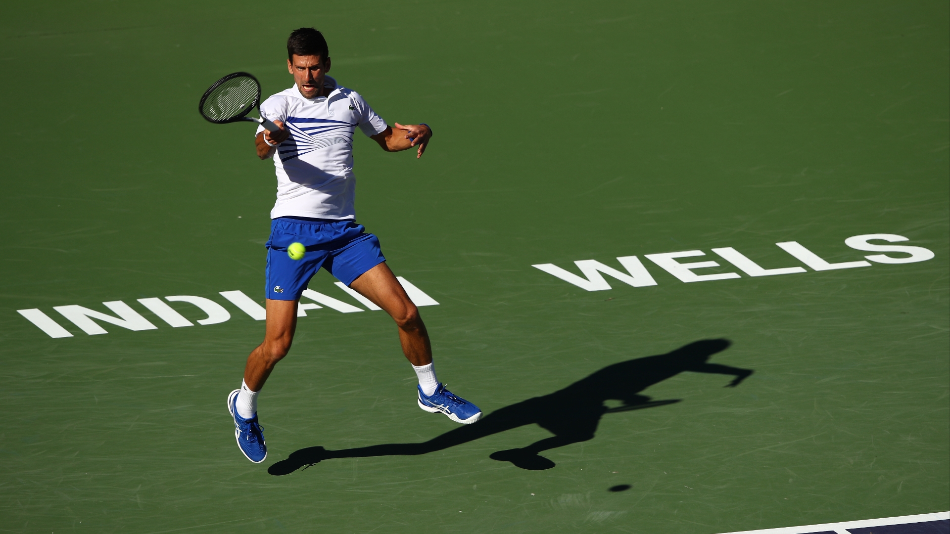 Novak Djokovic vs Aleksandar Vukic Live Stream & Tips - Djokovic to Cruise  to Victory at Indian Wells