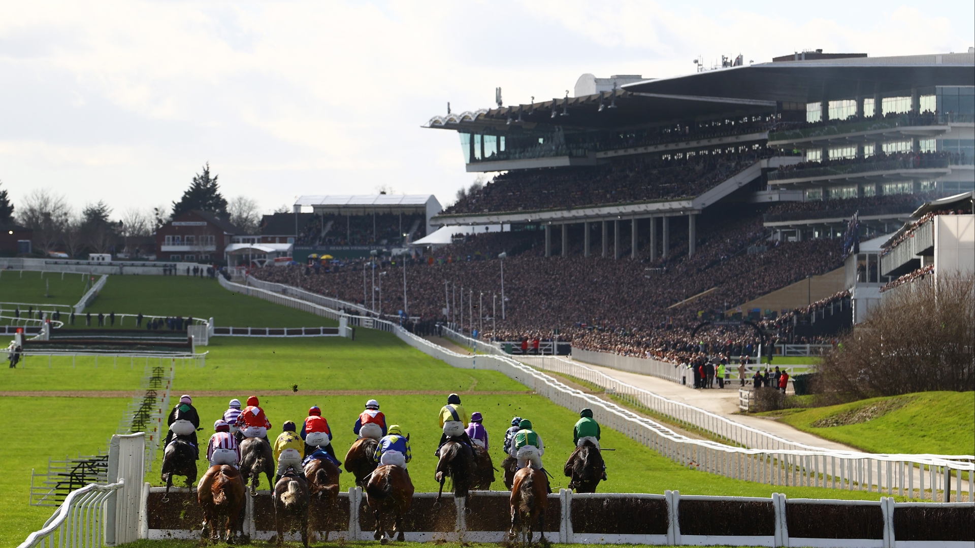 2024 Cheltenham Day 1 Tips | Best Bets On Champions Day