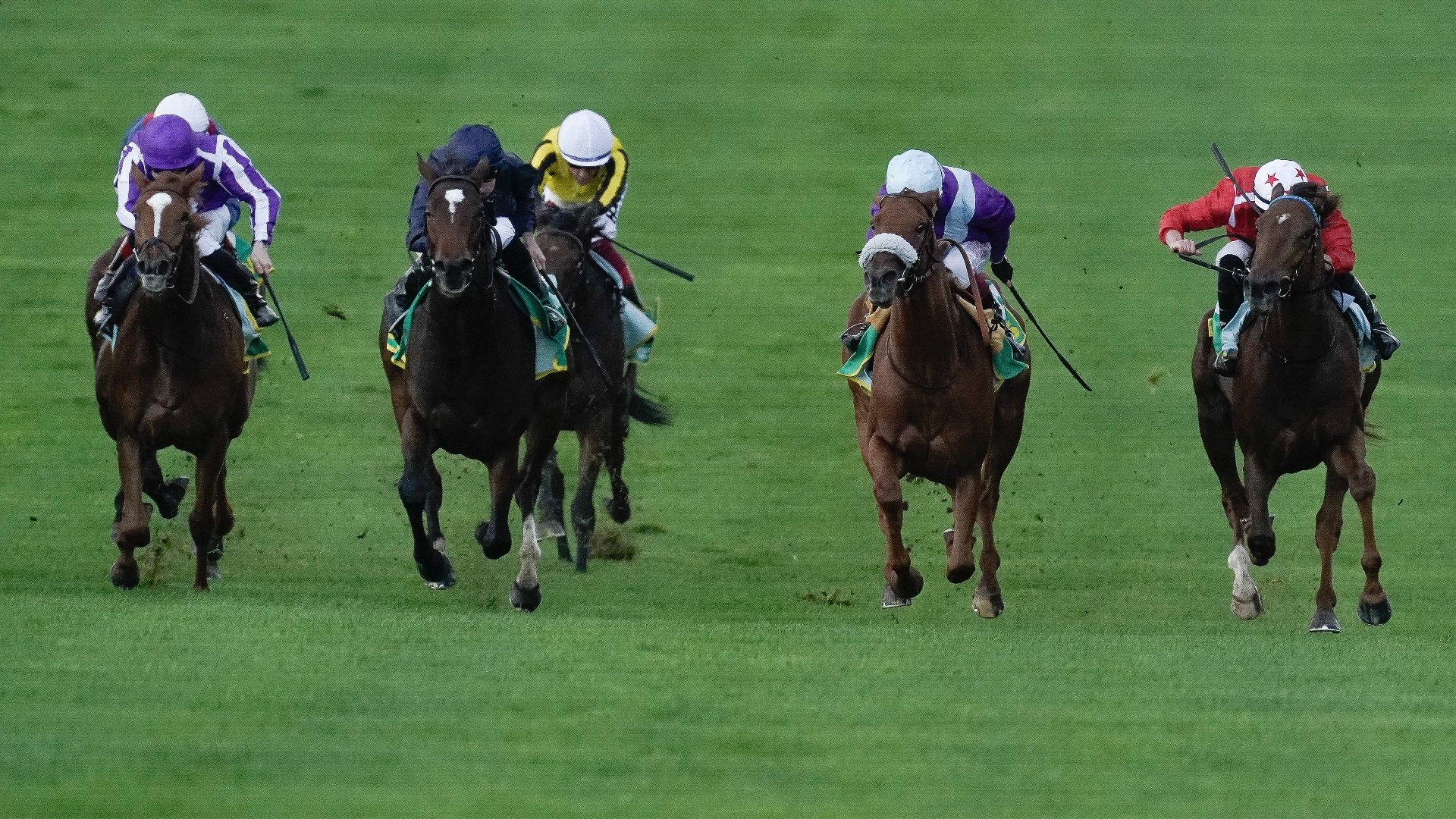 2024 1000 Guineas Odds Ylang Ylang leads Fallen Angel in Newmarket