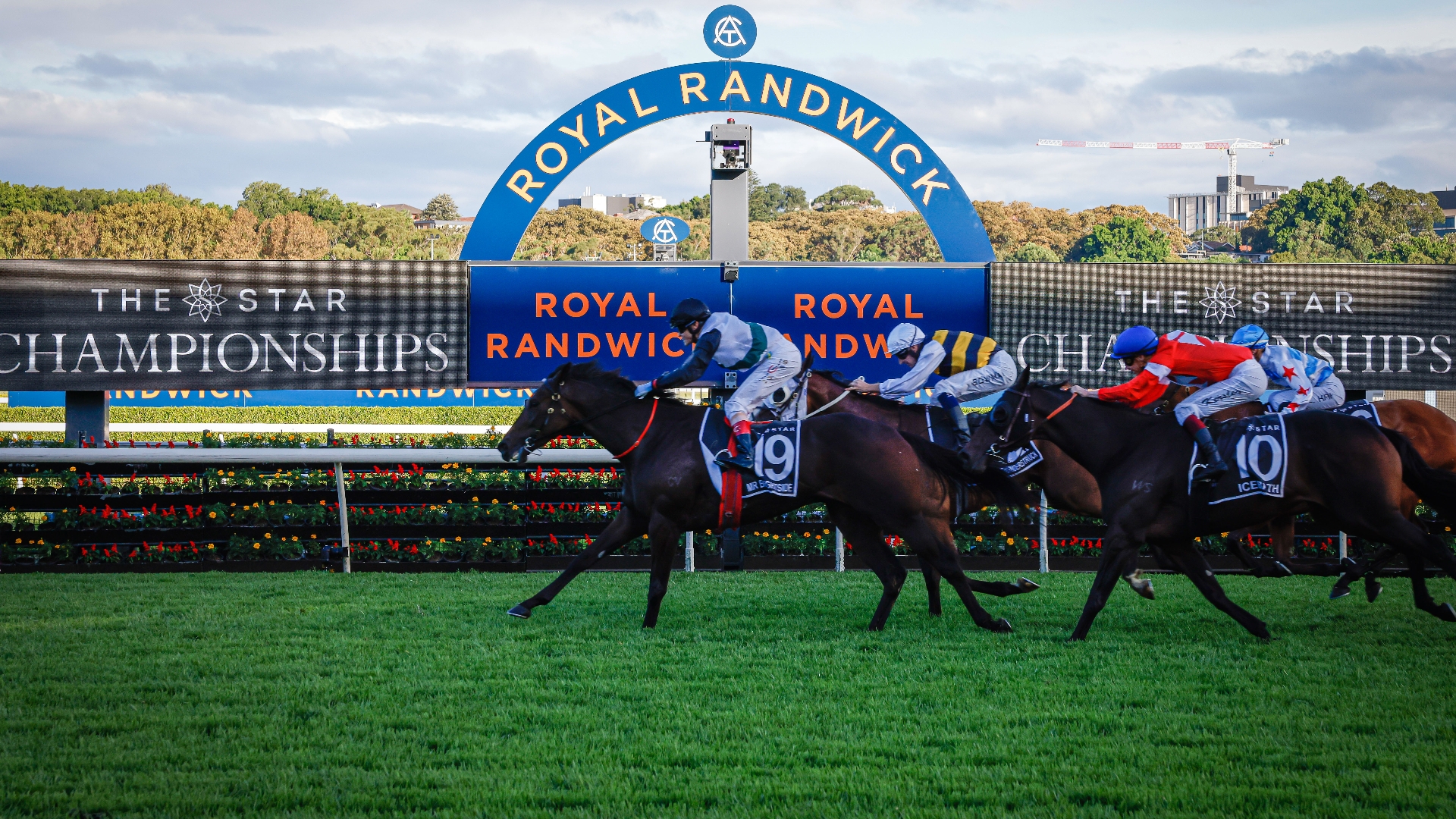 Queen Elizabeth Stakes 2024 Barrier Draw & Final Field