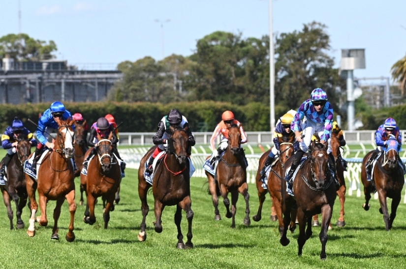 Queen Elizabeth Stakes Tips - Complete guide to Randwick Group 1