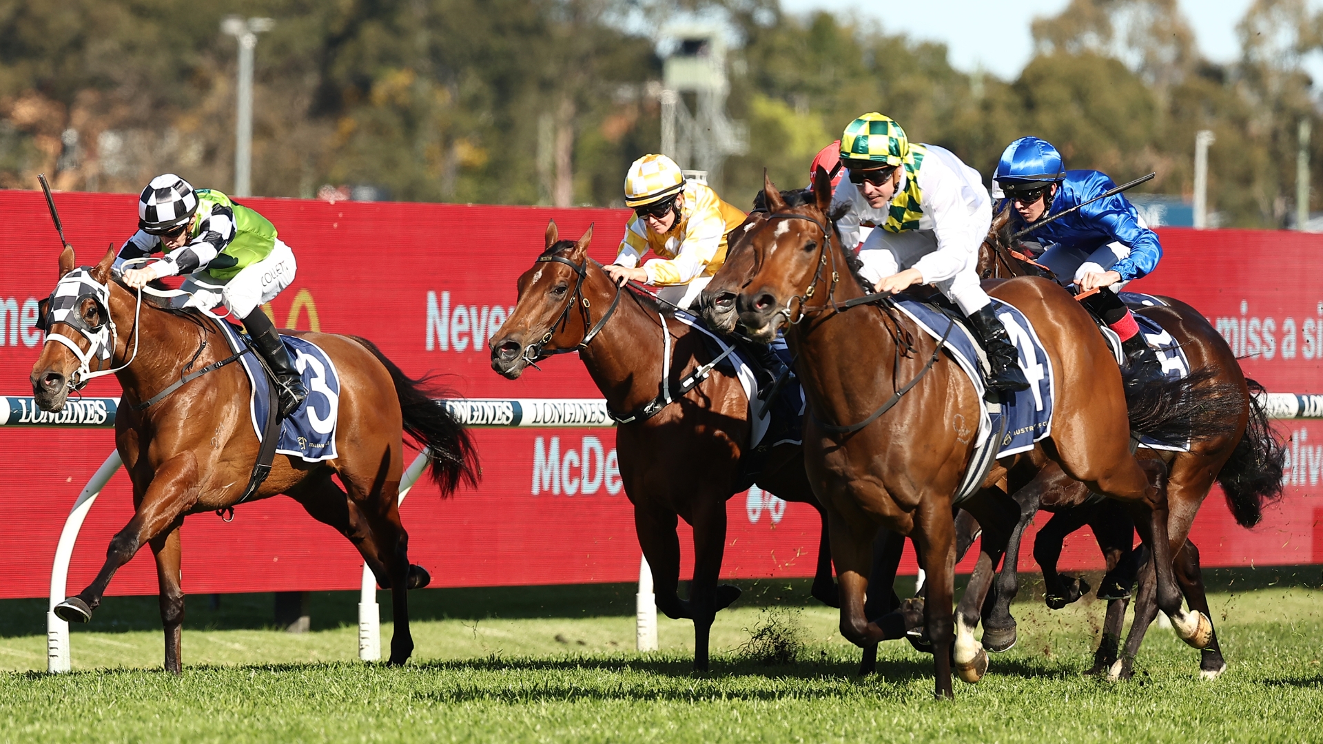 All Aged Stakes 2024 Barrier Draw & Final Field