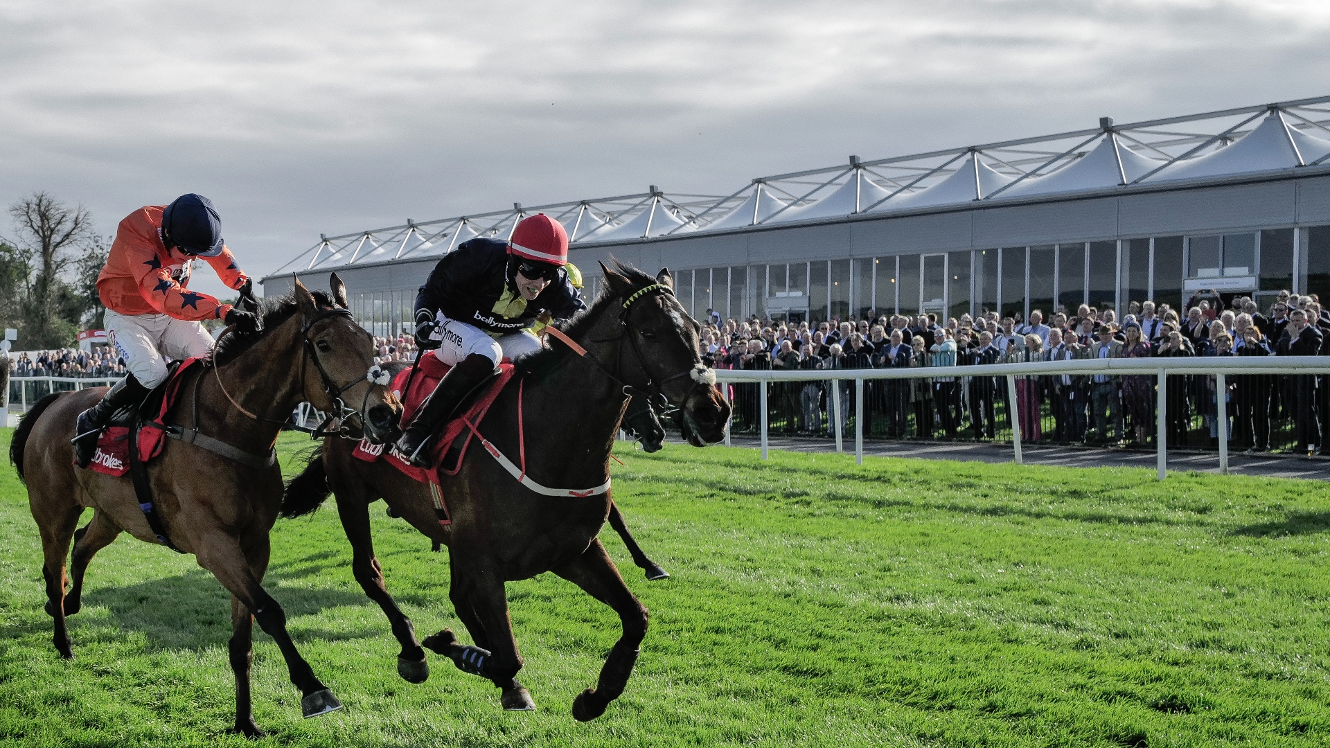 2024 Punchestown Gold Cup Tips Can Fastorslow cause the upset again?