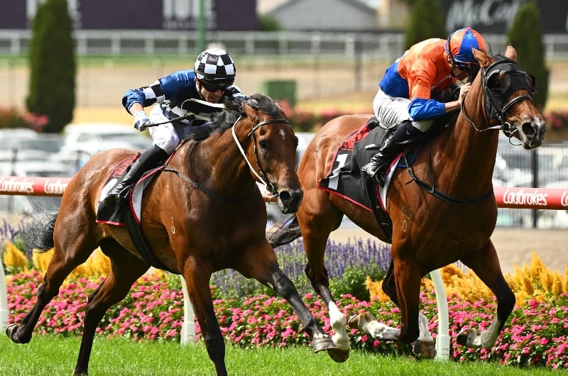 Australasian Oaks 2024 Barrier Draw & Final Field