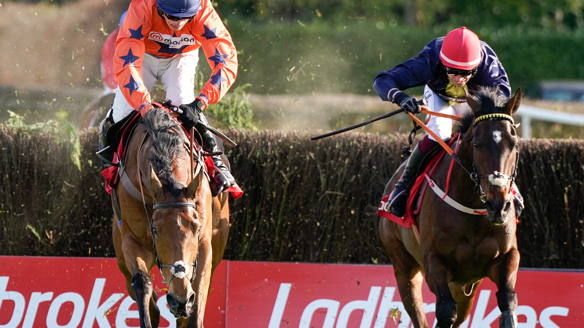 2024 Punchestown Gold Cup Live Stream Watch the Punchestown race online