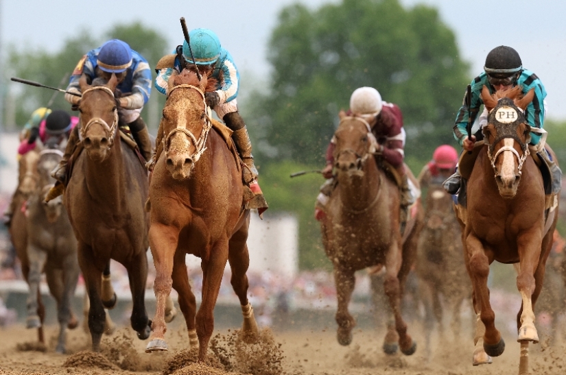 2024 Kentucky Derby Live Stream Watch the Churchill Downs race live