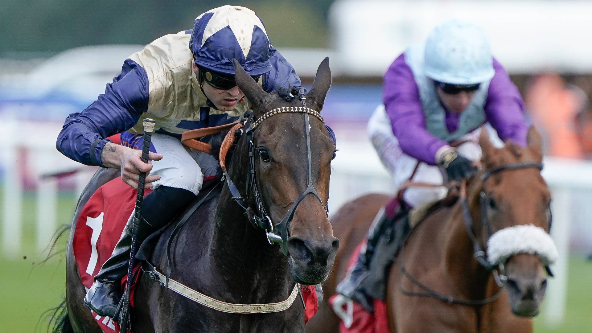 2024 1000 Guineas Tips Burke's fillies both deserve backing